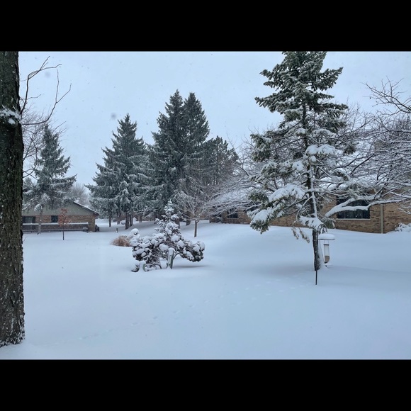 Meet your Posher, Rina - Picture 1 of 1